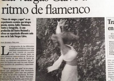 flamenco2